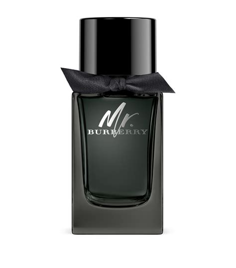 mr burberry eau de parfum opinioni|mr burberry indigo 100ml.